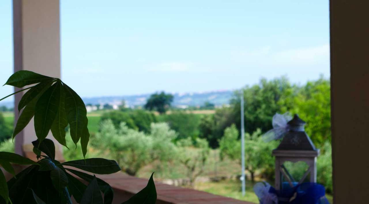 B&B Armonia Montecosaro  Екстериор снимка